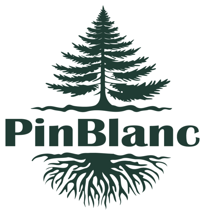 Logo officiel du Pin Blanc : grand pin, signature et racines
